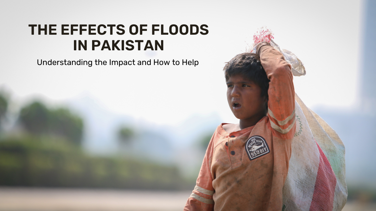 the-effects-of-floods-in-pakistan-understanding-the-impact-and-how-to