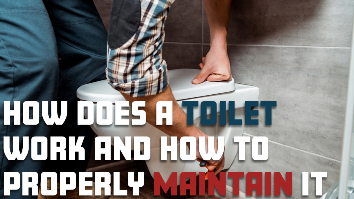 How Does A Toilet Work And How To Properly Maintain It Market Fobs